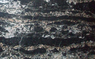 ???? ????? ?????? ?????????