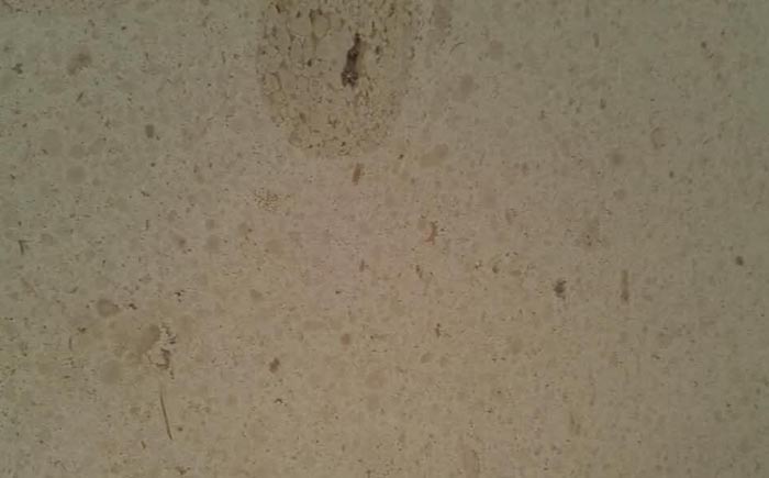 ��������ɰ��