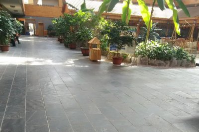 ????? ?????? ????? ???? ?????